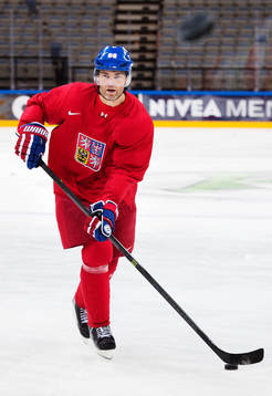 Jaromir Jagr