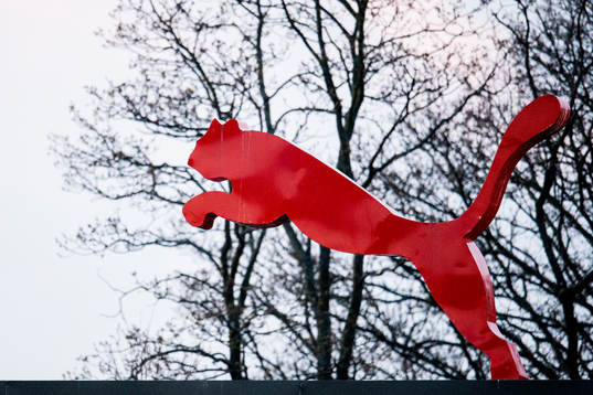 En röd puma hoppar