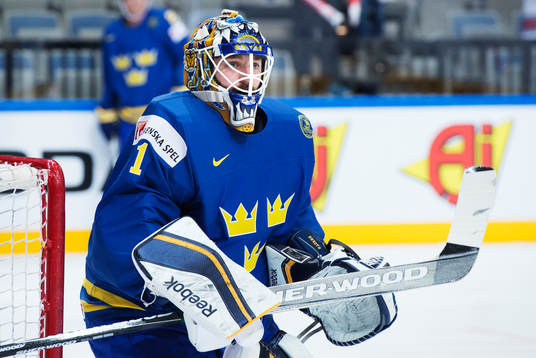 Sveriges målvakt Jhonas Enroth värmer upp