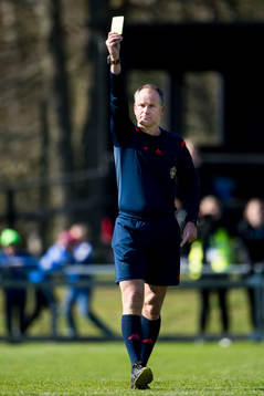 Domare Mikael Eriksson