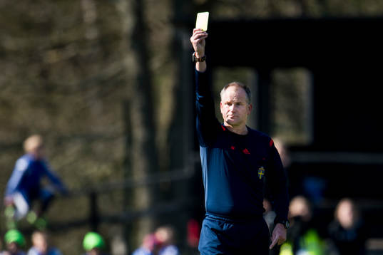 Domare Mikael Eriksson
