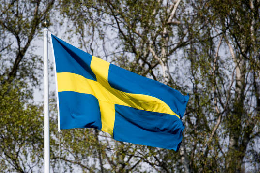 Svenska flaggan och i bakgrunden björkar
