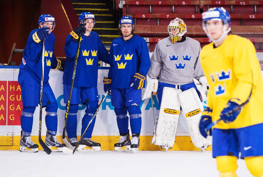 Loui Eriksson, Filip Forsberg, Anton Lander och målvakten
