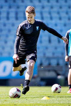 Malmö FFs Markus Rosenberg