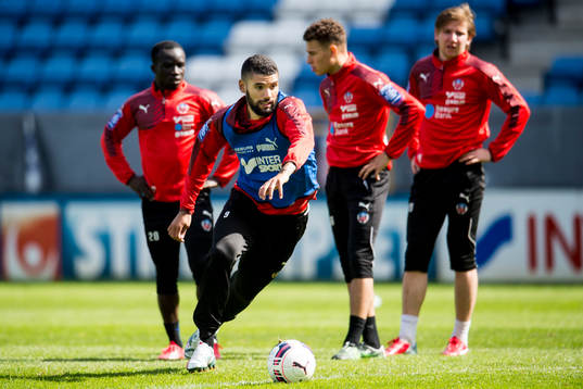 Helsingborgs Victor Palsson