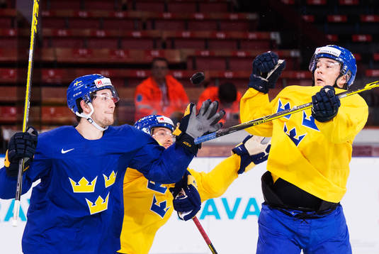 Filip Forsberg och Jimmie Ericsson försöker tar ner