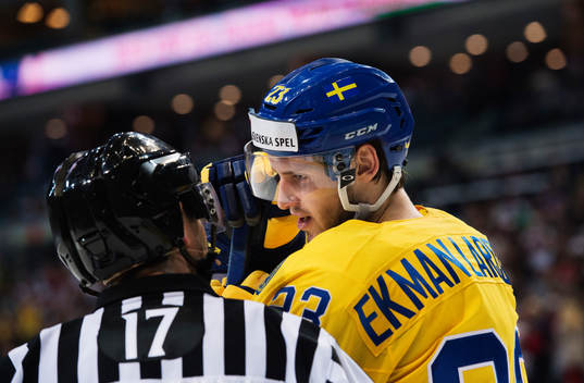 En linjedomare i samtal med Sveriges Oliver Ekman Larsson
