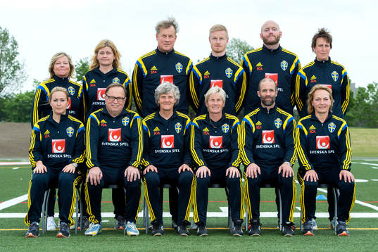Sveriges ledare