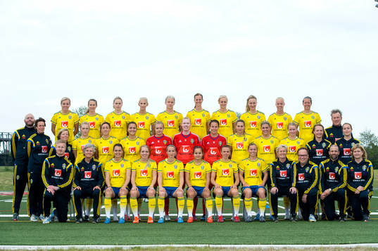 Sveriges ledare och spelare