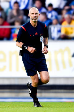 Domare Michael Lerjeus