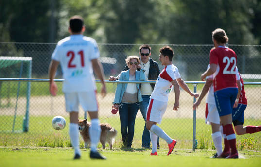 Åskådare med hund i matchen i division 2 Västra