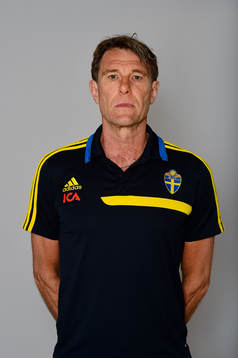 Sveriges Håkan Ericson, Förbundskapten
