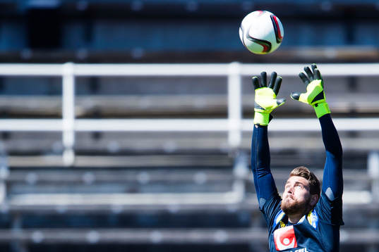 Sveriges målvakt Kristoffer Nordfeldt