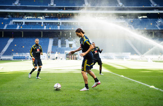 Alexander Milosevic och Zlatan Ibrahimovic