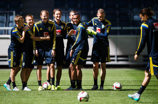 Sebastian Larsson, Pierre Bengtsson, Ola Toivonen, Albin