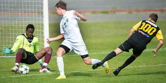 s målvakt Paulinus Dorzia i matchen i division 2 mellan