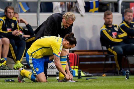 Sveriges förbundskapten Erik Hamrén i samtal med Zlatan