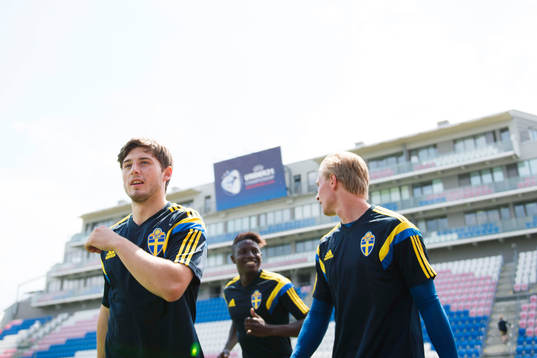 Sveriges Arber Zeneli