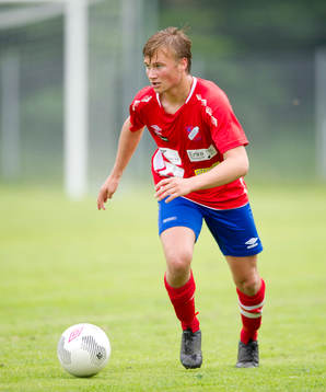 Höganäs Hugo Henfeld