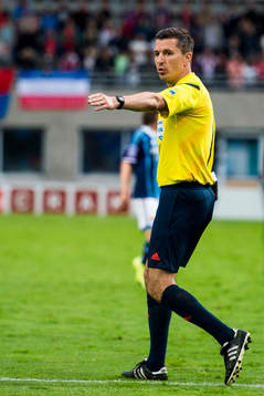 Domare Bojan Pandzic
