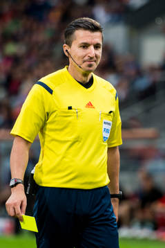 Domare Bojan Pandzic