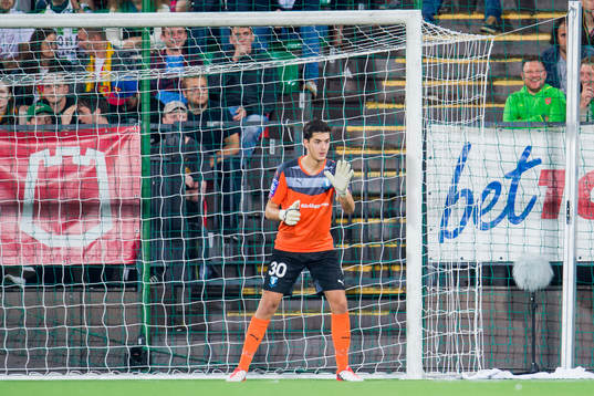 Malmö FFs målvakt Marko Johansson i målet