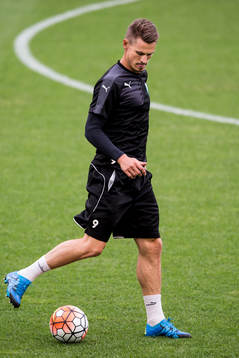 Malmö FFs Markus Rosenberg