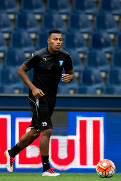 Malmö FFs Felipe Carvalho