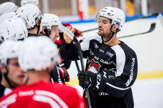 T.J. Galiardi