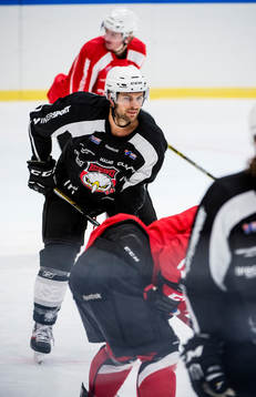 T.J. Galiardi