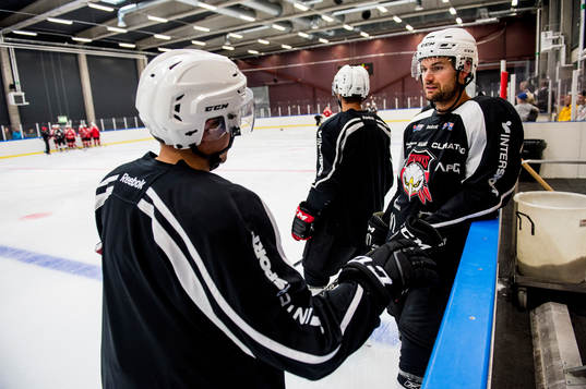 T.J. Galiardi