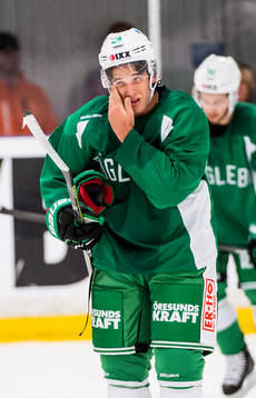Alex Aleardi