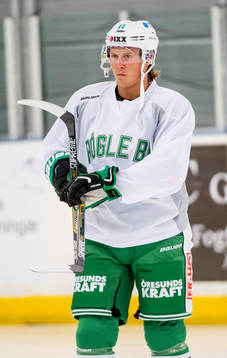 David Åslin