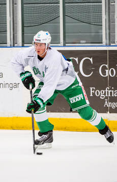 David Åslin