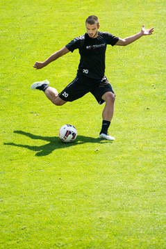 Malmö FFs Vladimir Rodic