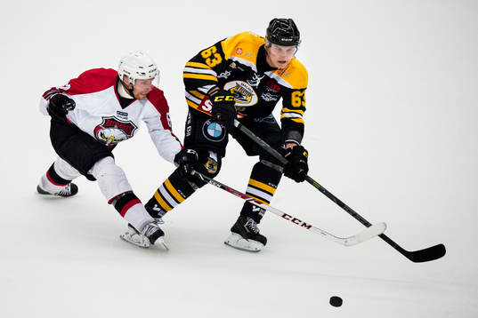 Bläddra bland fler bilder av Ishockey, Träningsmatch, Pantern - Malmö Redhawks