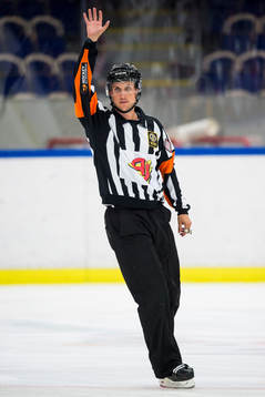 Domare Patric Bjälkander