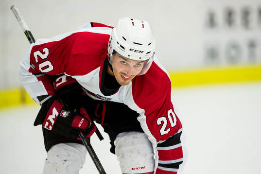 Malmö Redhawks Henrik Hetta