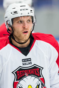 Malmö Redhawks Frederik Storm