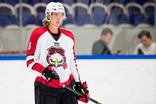 Malmö Redhawks Jesper Mångs