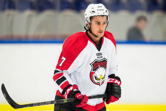 Malmö Redhawks Nils Andersson