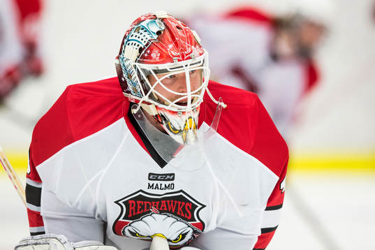 Malmö Redhawks målvakt Pontus Sjögren