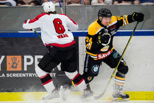 Malmö Redhawks Stefan Warg