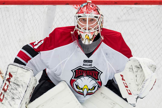 Malmö Redhawks målvakt Pontus Sjögren