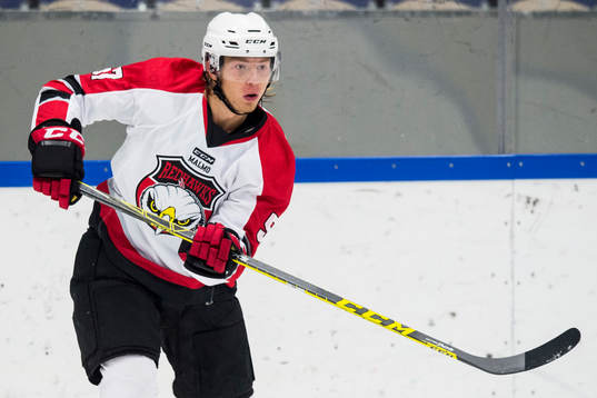 Malmö Redhawks Johan Ivarsson