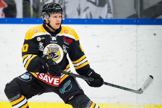 Panterns Oliver Widding Persson