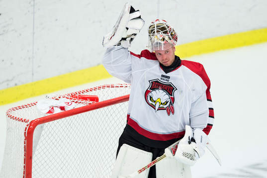 Malmö Redhawks målvakt Pontus Sjögren