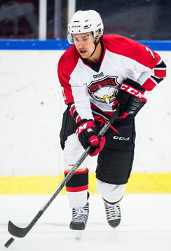 Malmö Redhawks Nils Andersson