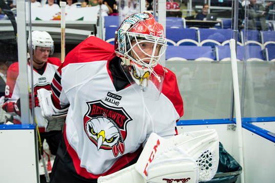 Malmö Redhawks målvakt Pontus Sjögren