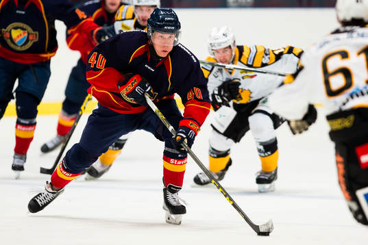 Djurgårdens Tomi Sallinen med pucken